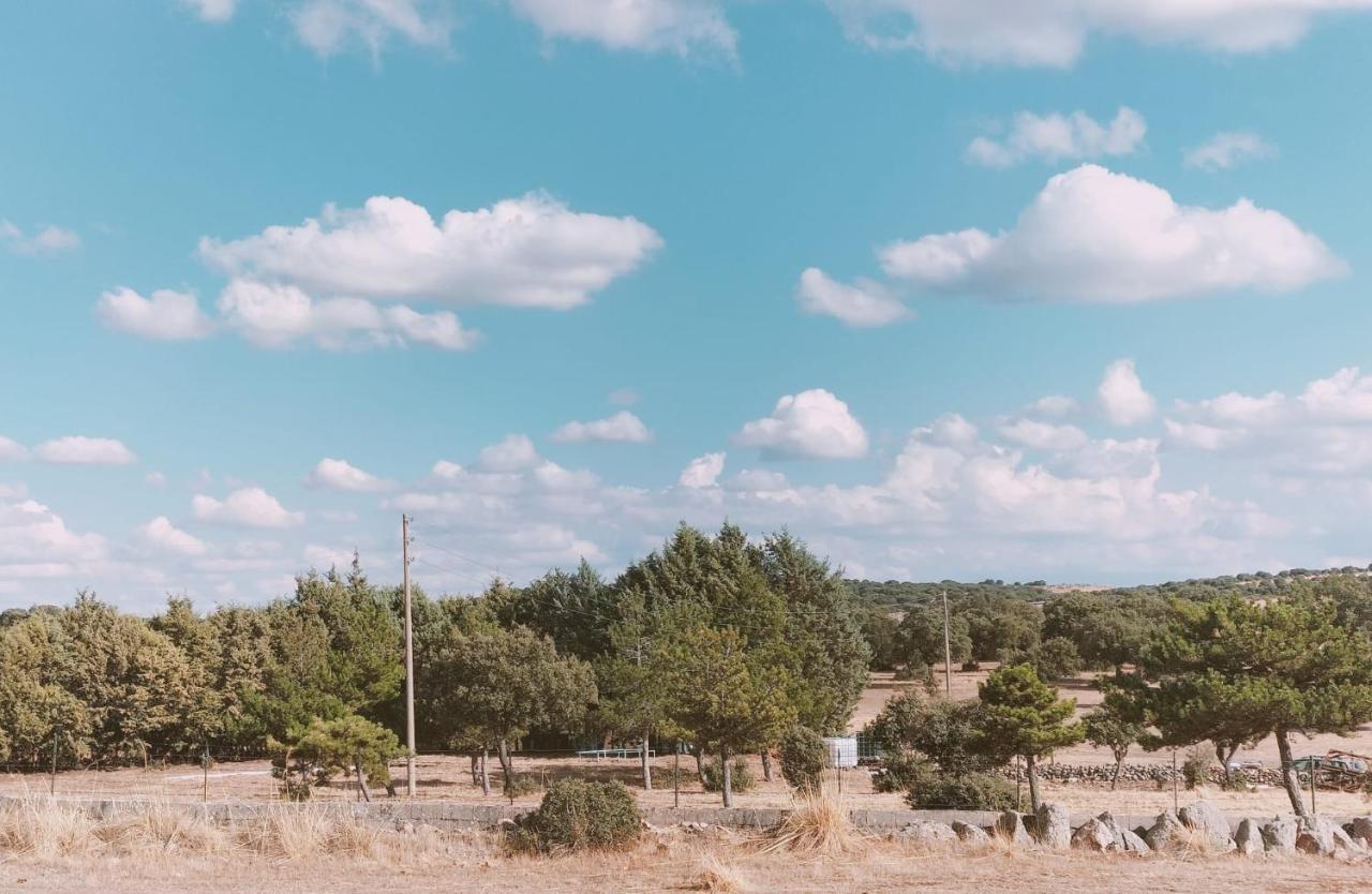 Apartamentos Walden By Gaiarooms Morille エクステリア 写真